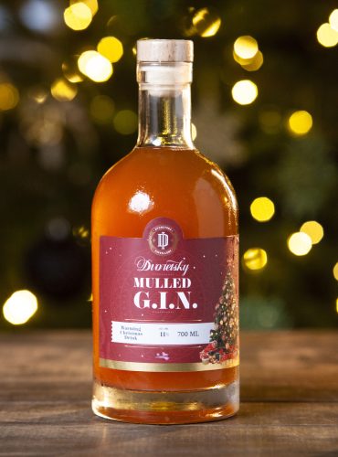 Mulled GIN Apple-Orange